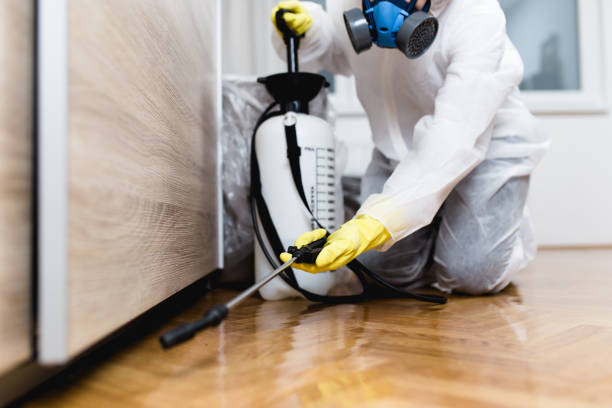 Best Wildlife Control Services  in New Richmond, OH