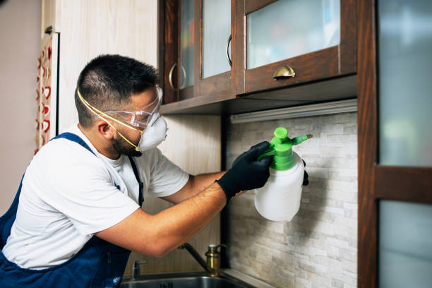 Best Exterminator Services  in New Richmond, OH