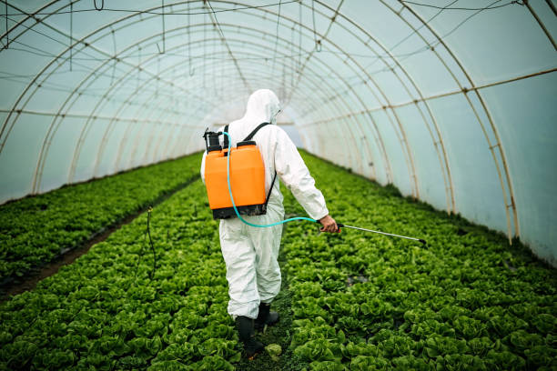 Best Best Pest Control Companies  in New Richmond, OH
