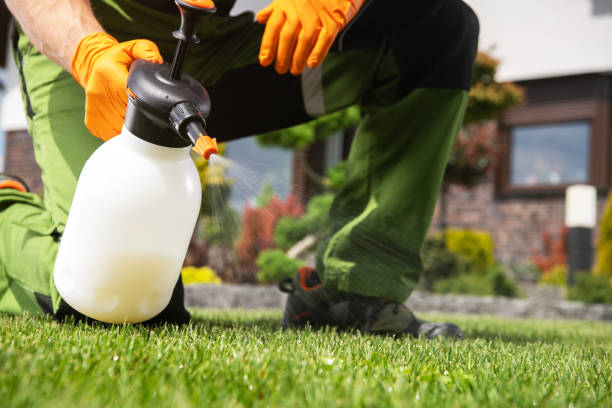 Best Bed Bug Extermination  in New Richmond, OH