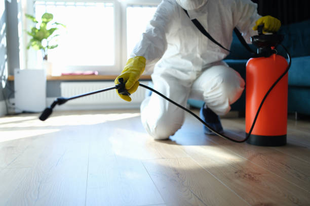 Best Wasp Removal Services  in New Richmond, OH