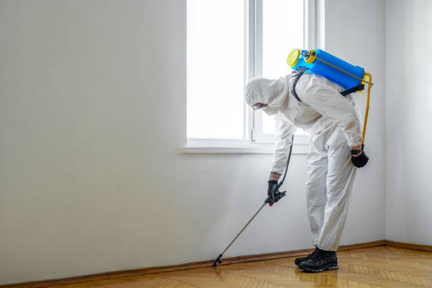 Best Mosquito Control Services  in New Richmond, OH