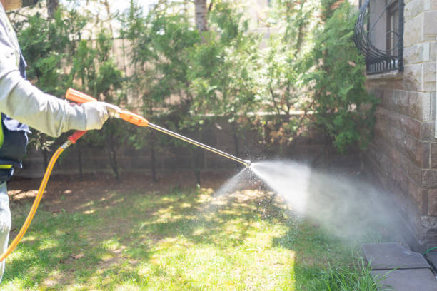 Best Residential Pest Control  in New Richmond, OH