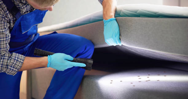 Professional Pest Control in New Richmond, OH