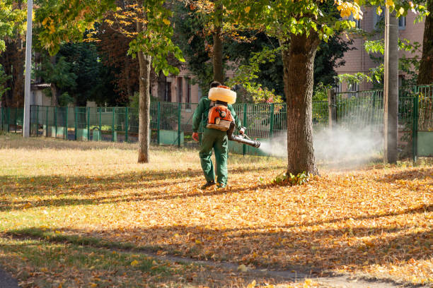 Best Cockroach Control Services  in New Richmond, OH